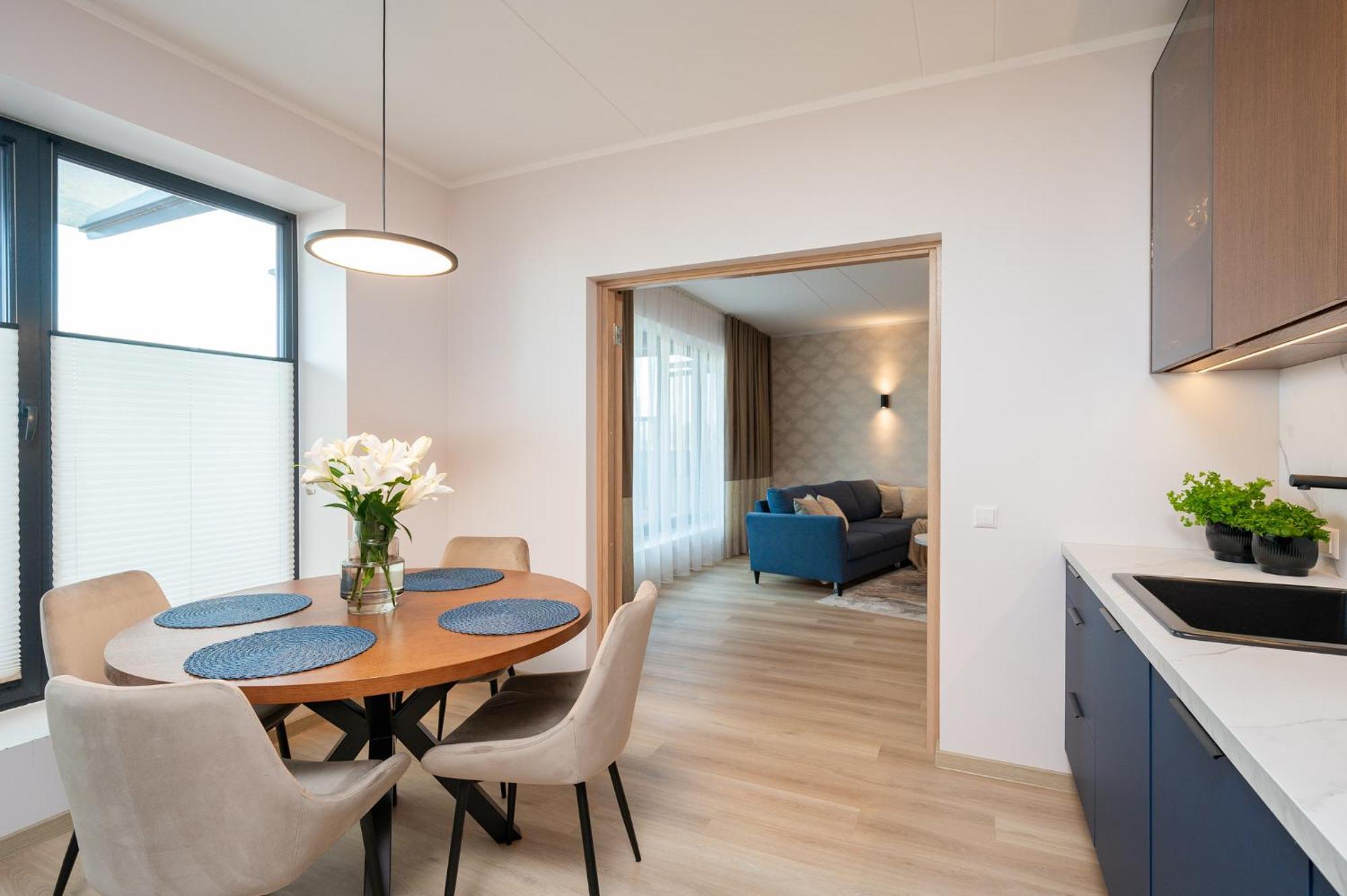 Aatrium Kinnisvara Riia Str 22 80 M2 With 45 M2 Terrace Apartment
